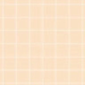 Meet your Posher, Payton